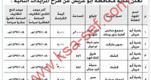 مزايدات متنوعة ببلدية محافظة أبو عريش