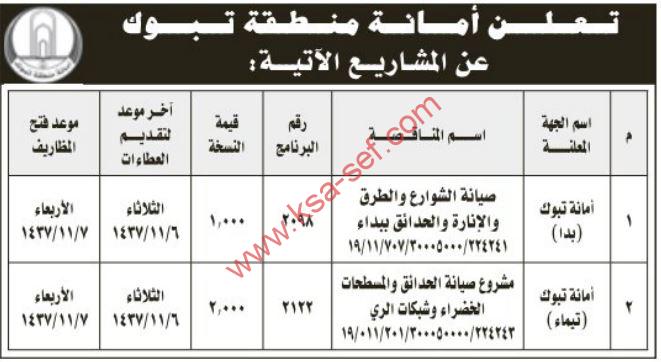 مناقصات صيانة الشوارع والطرق والإنارة والحدائق ببداء وصيانة الحدائق والمسطحات الخضراء وشبكات الري بتيماء